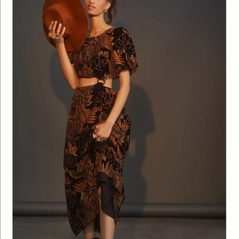 Anthropologie Let Me Be Burnout Velvet Maxi Dress